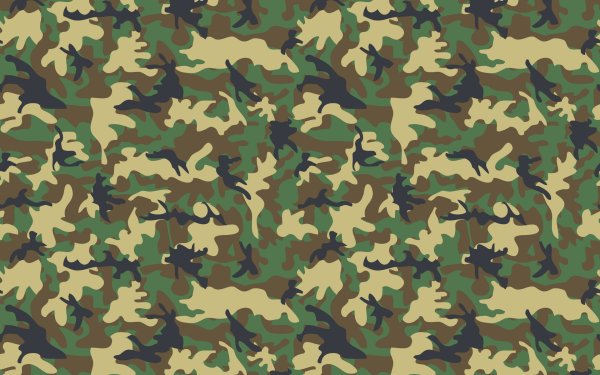 Камуфляжная расцветка