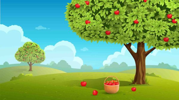 Сад мультяшный