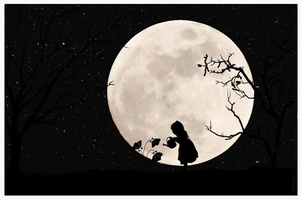 Силуэт на фоне Луны