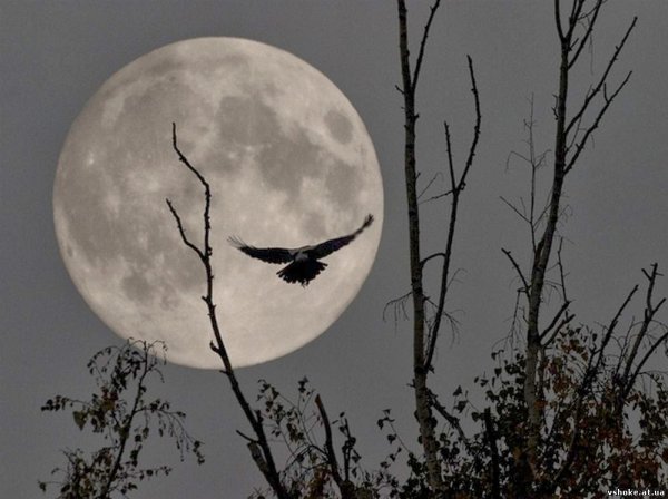 Страшная Луна