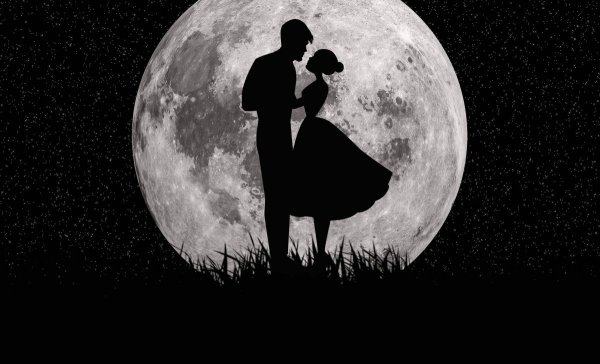 Пара под луной