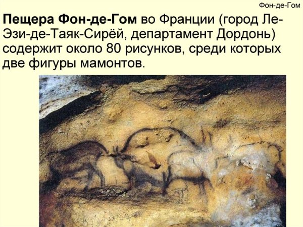 Бизоны пещеры фон-де-Гом