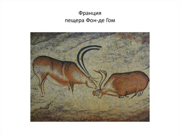 Бизоны пещеры фон-де-Гом