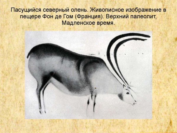 Фон-де-Гом Франция