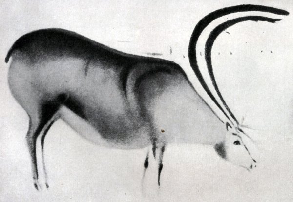 Бизоны пещеры фон-де-Гом