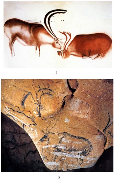 Фон-де-Гом. Франция. Поздний палеолит.
