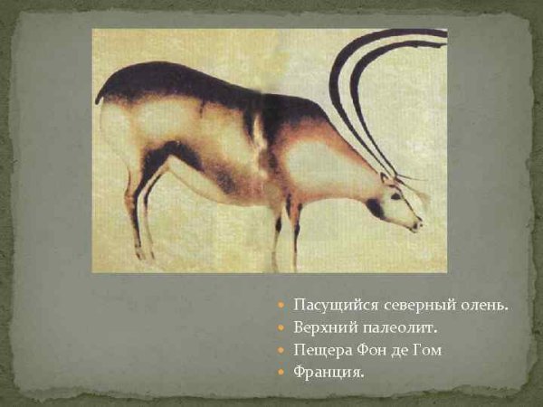 Пещера фон де Гом