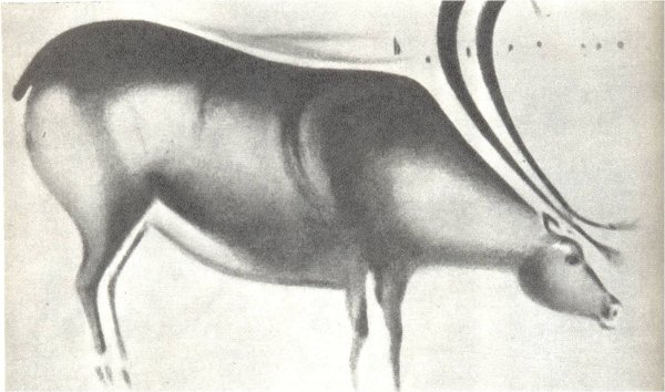 Пещера фон де Гом Франция Бизон