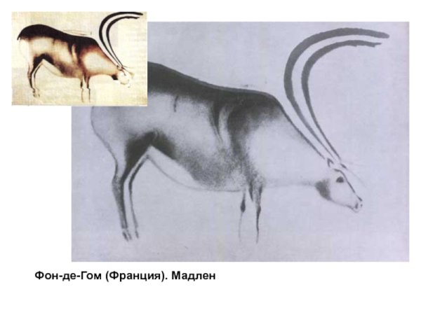 Пещера фон-де-Гом Франция