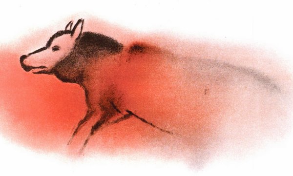 Бизон фон-де-Гом Франция