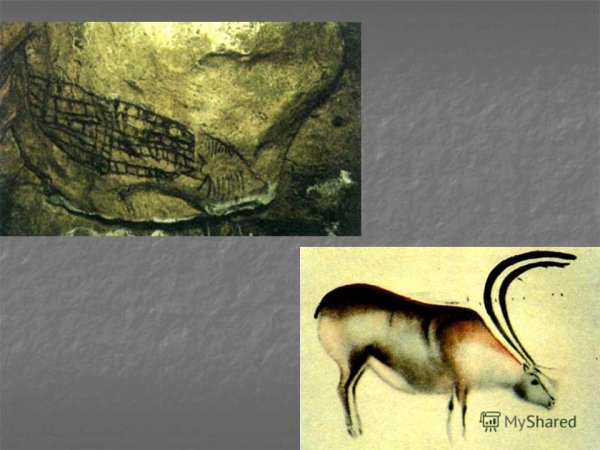 Бизон фон-де-Гом Франция