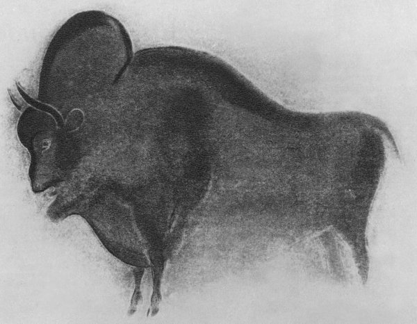 Волк. Фон-де-Гом. Франция. Поздний палеолит.