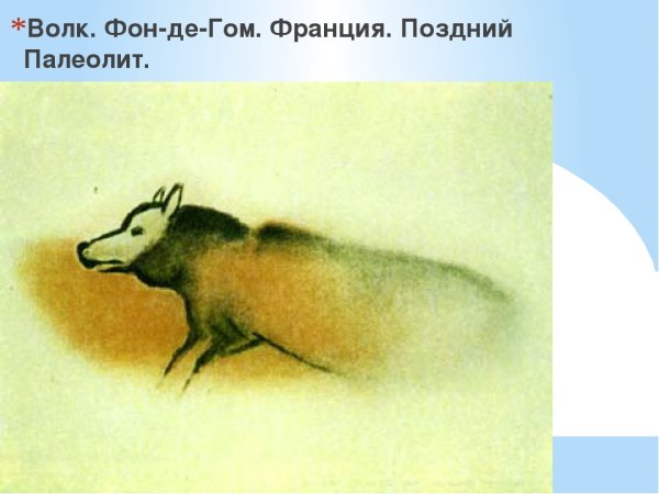 Бизоны пещеры фон-де-Гом