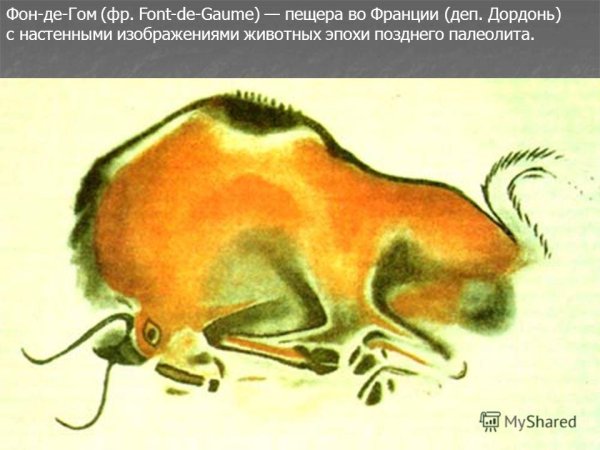 Пещера фон де Гом