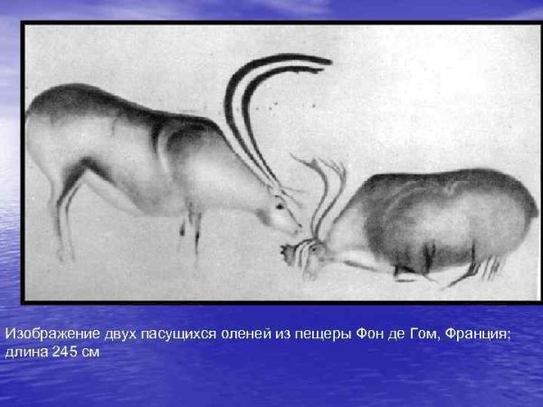 Пещера фон де Гом волк