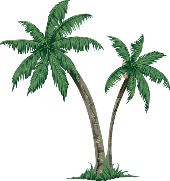 Пальмы растровое