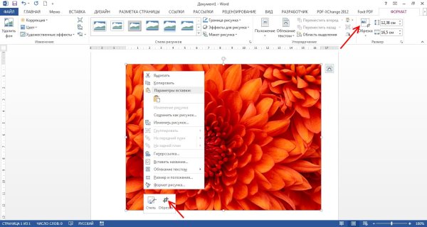 Обрезка рисунка в Ворде