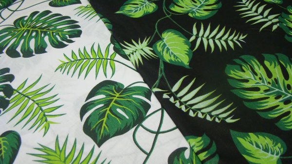 Золотой папоротник монстера