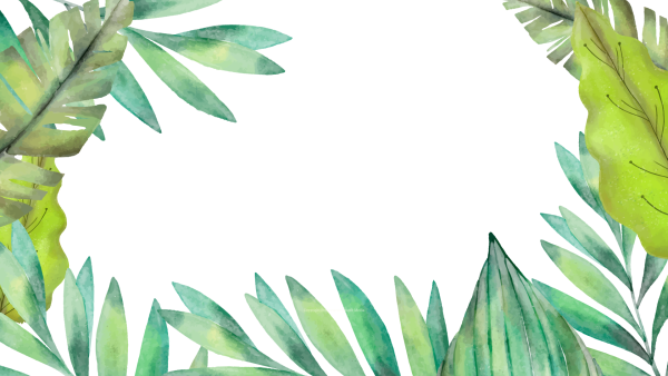 Лист пальмы