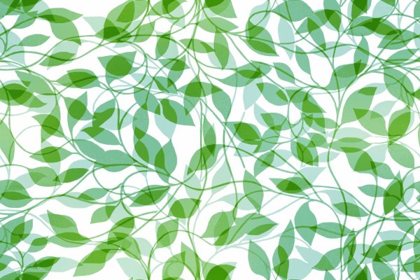 Растительный узор