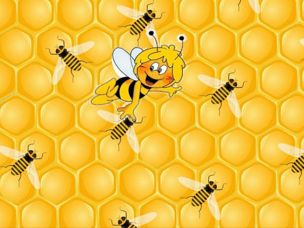 Пчела с сотами