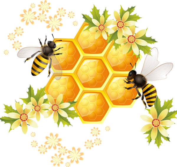 Пчелка с сотами для детей