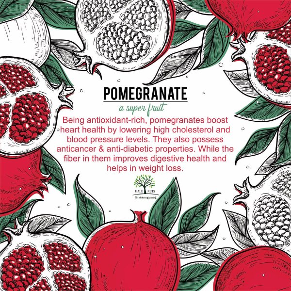 Гранат фон вектор