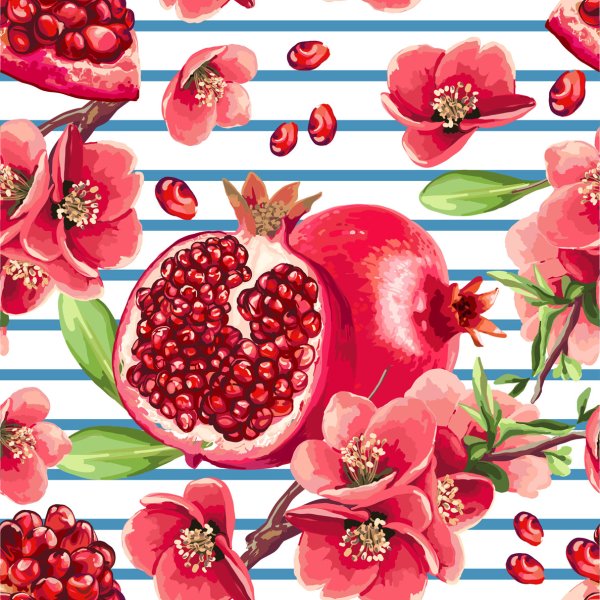 Гранат цветок вектор