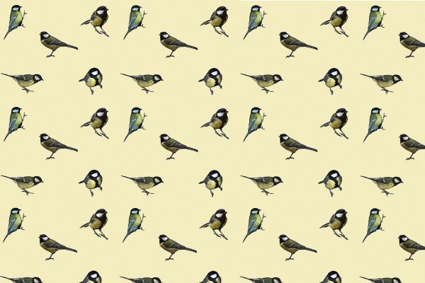 Фон с птичками