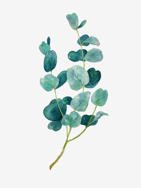 Зелень акварель