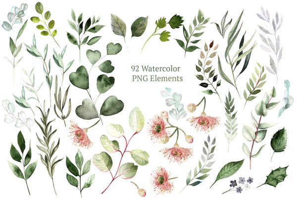 Фон акварельный эвкалипт