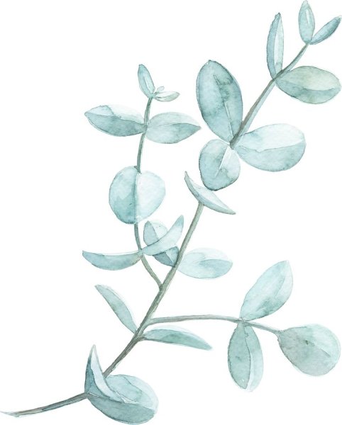 Акварельные листики