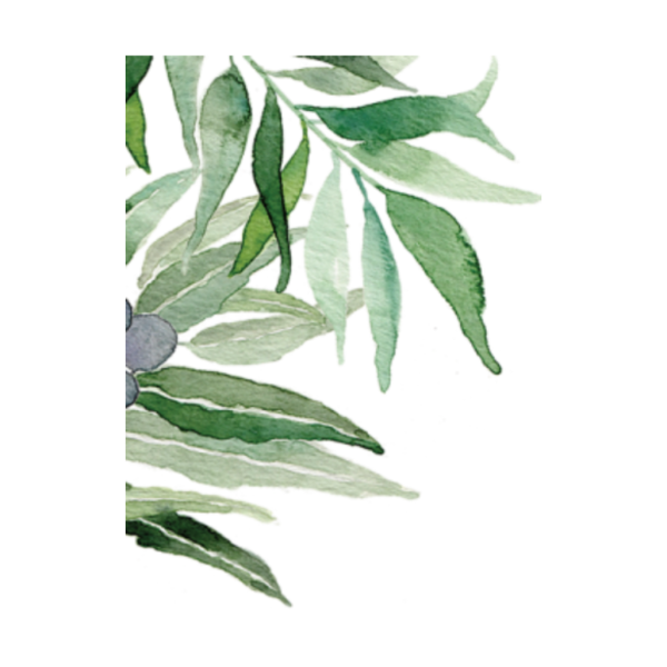 Акварельные ветки