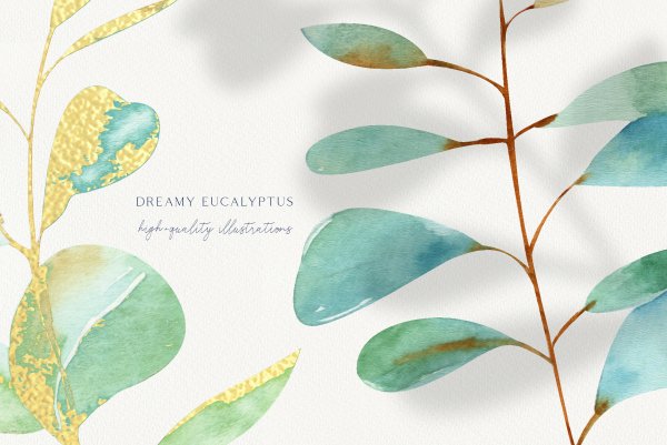 Эвкалипт акварель