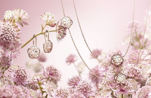 Цветы для украшения