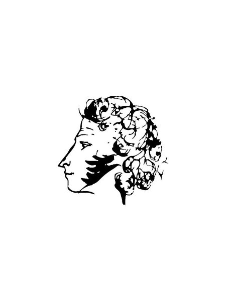 Александр Сергеевич Пушкин профиль