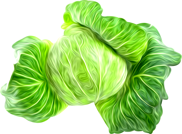 Капуста картинка для детей