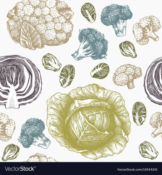 Бесшовный вектор паттерн капуста