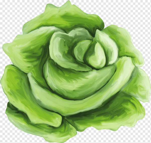 Ребенок в капусте