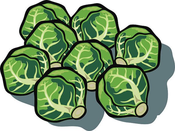 Капуста вектор