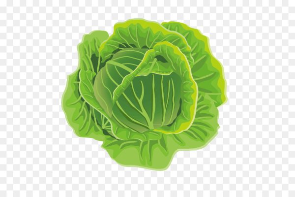 Капустный лист