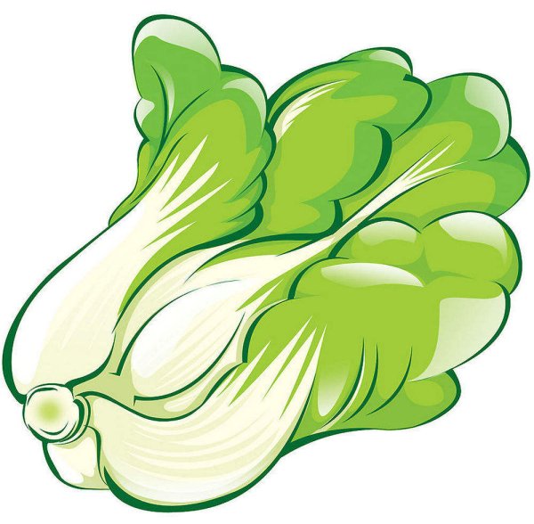 Капуста китайская мультяшный