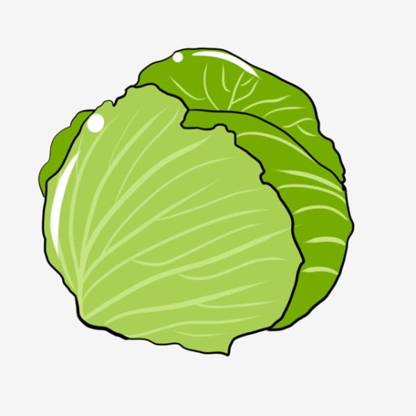 Капуста вектор