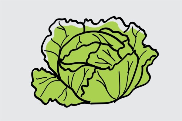 Нарисовать капусту для детей