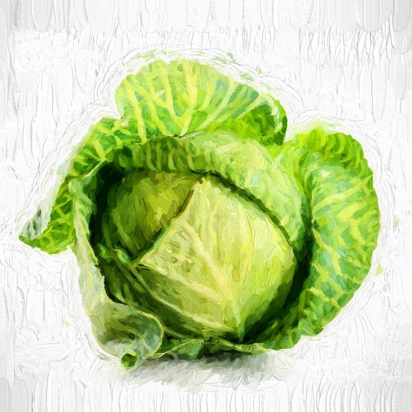 Картина для детей Cabbage