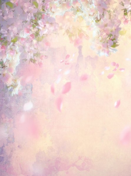 Фон бабочки