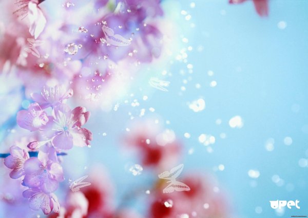 Цветы на Светлом фоне