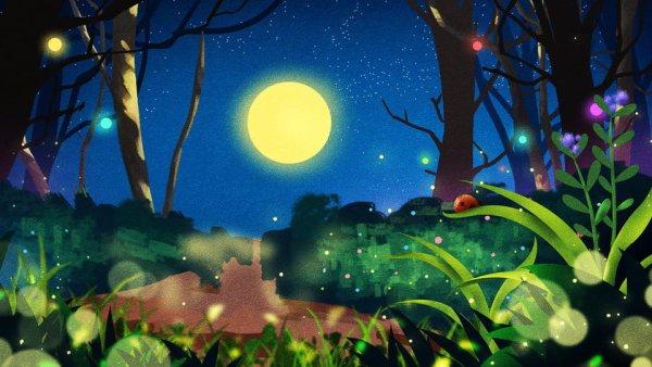 Сказочная Поляна ночью