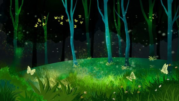 Сказочная Поляна ночью