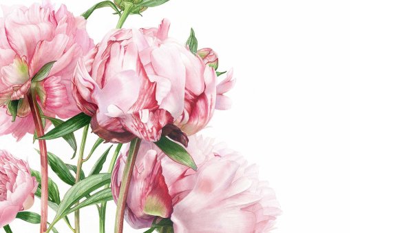 Билли Шоуэлл